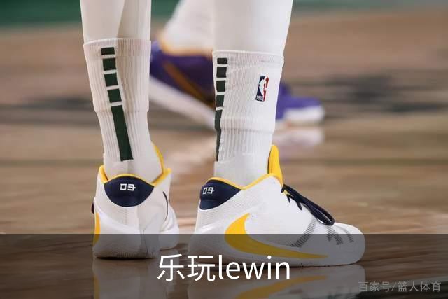 乐玩lewin公司简介图片